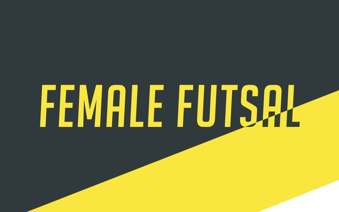 Female Futsal – FSV Hansa07 Berlin e.V.